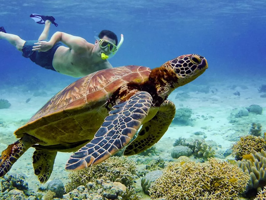 Abu Dabbab Beach Trip to Marsa Alam abu-dabbab-beach-trip-to-marsa-alam/Abu-Dabbab-Day-Tour-Tours-From-Hurghada.jpg