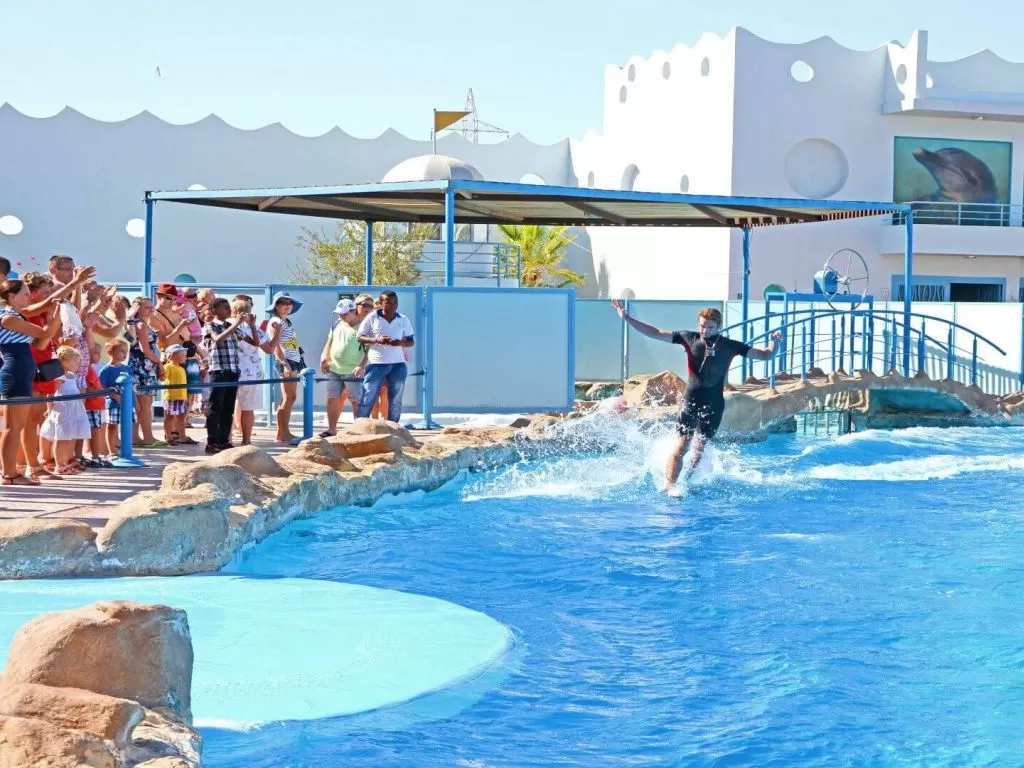 Excursion to the Dolphin World for the Dolphin Show excursion-to-the-dolphin-world-for-the-dolphin-show/13.jpg