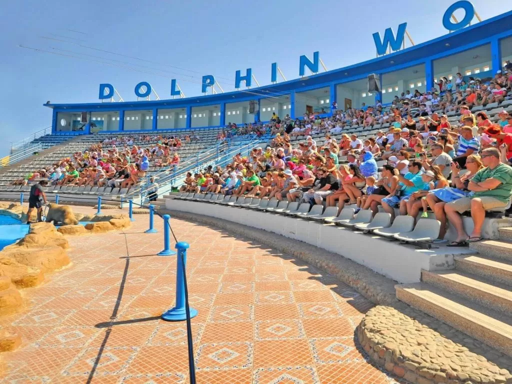 Excursion to the Dolphin World for the Dolphin Show excursion-to-the-dolphin-world-for-the-dolphin-show/4.jpg