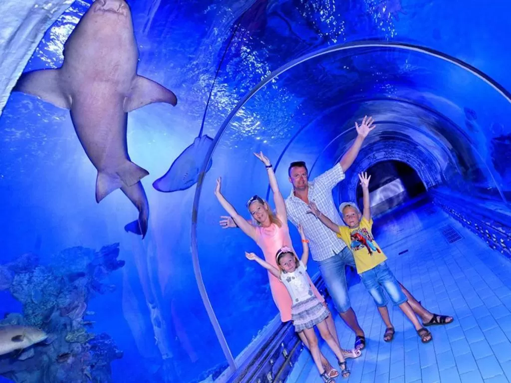 Excursion to the Grand Aquarium in Hurghada excursion-to-the-grand-aquarium-in-hurghada/Hurghada-Grand-Aquarium-4.jpg
