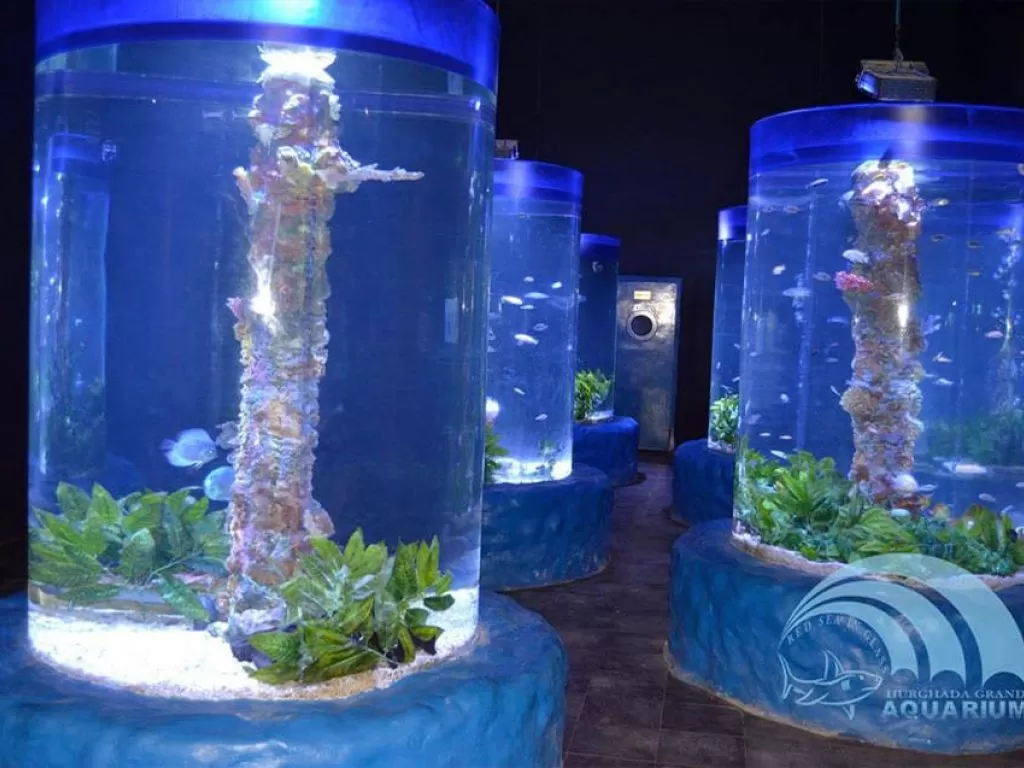 Excursion to the Grand Aquarium in Hurghada excursion-to-the-grand-aquarium-in-hurghada/Hurghada-Grand-Aquarium-9.jpg