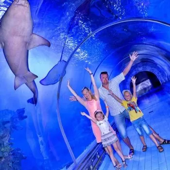 Excursion to the Grand Aquarium in Hurghada