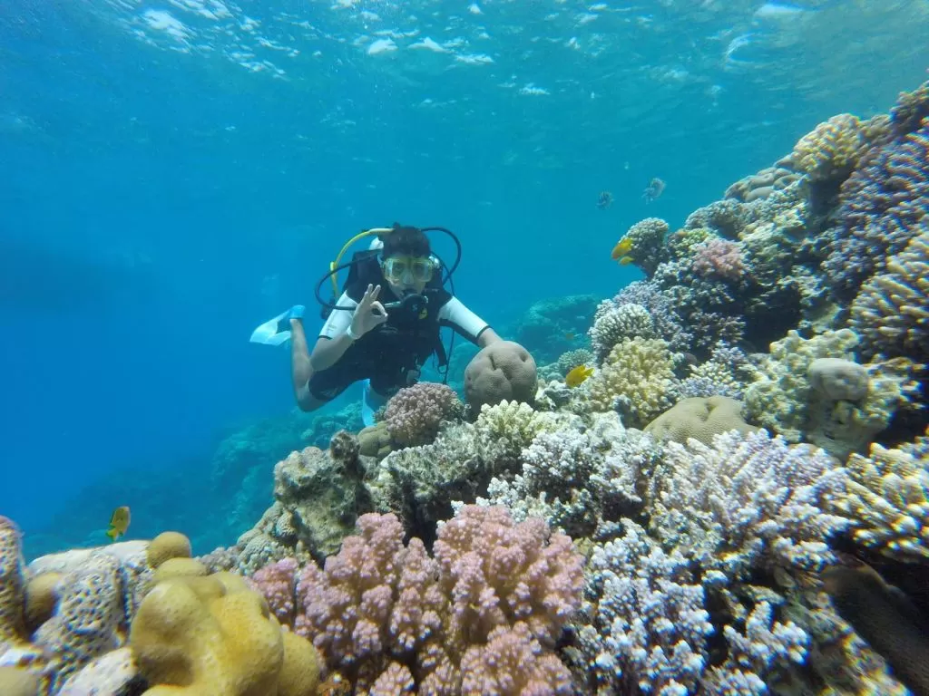 Intro Boat Diving Trip hurghada-diving/GOPR1085.jpg