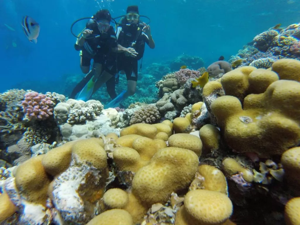 Intro Boat Diving Trip hurghada-diving/GOPR1097.jpg