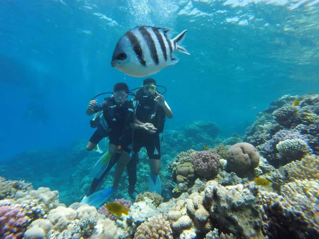 Intro Boat Diving Trip hurghada-diving/GOPR1098.jpg