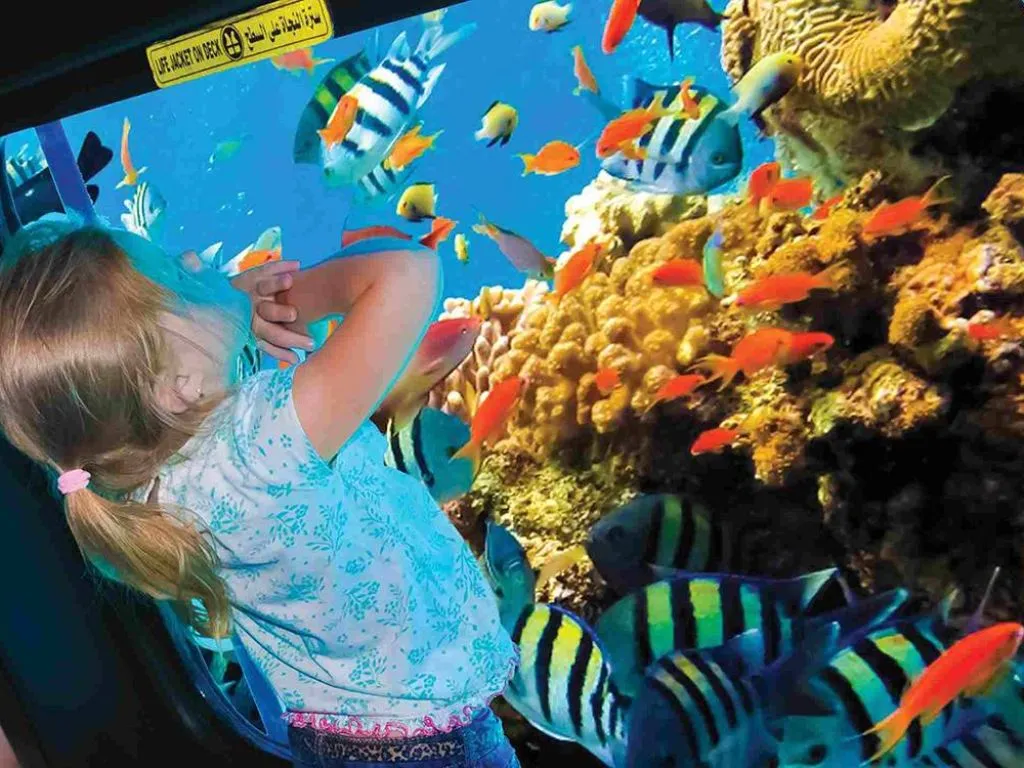 🚤 Glass Boat Trip – Hurghada 2000x2000-0-70-84fffb6979776aa7ad6c7a2d3d07abdd.jpg