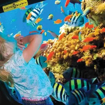 🚤 Glass Boat Trip – Hurghada