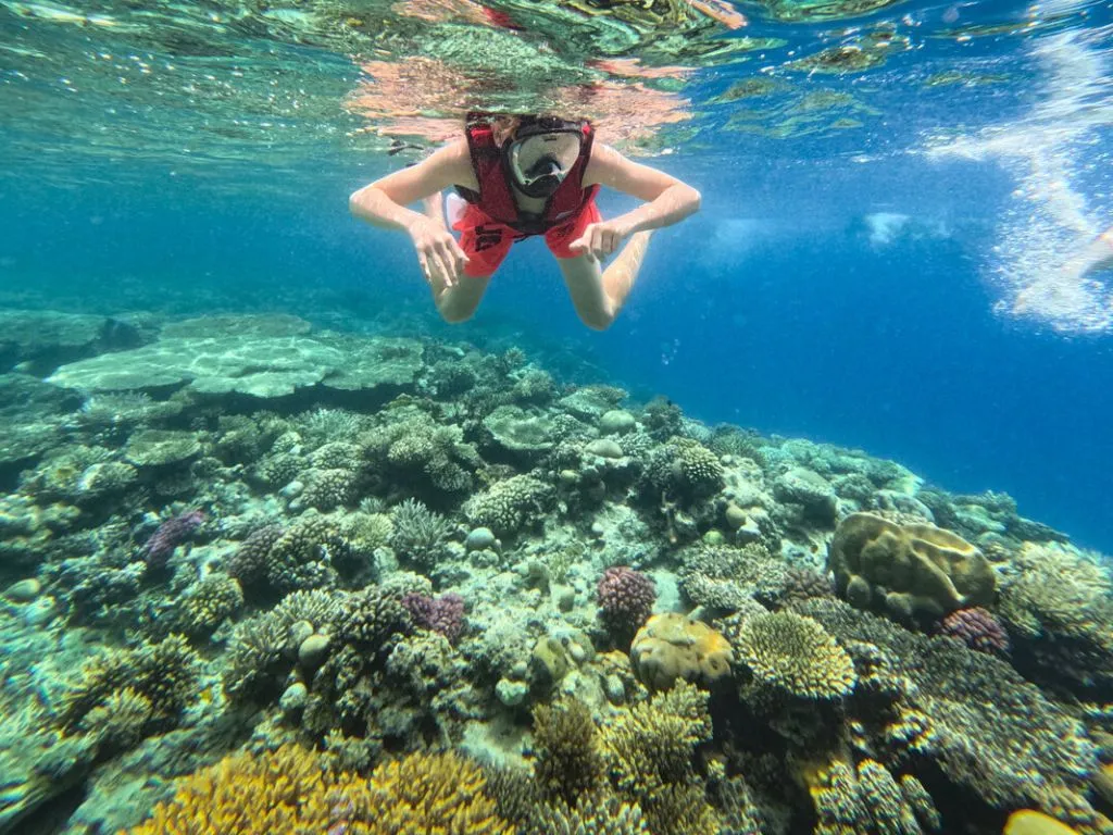 🤿 Snorkeling Adventure Trip – Hurghada snorkeling-adventure-trip-hurghada/nage-masque-tuba.jpg